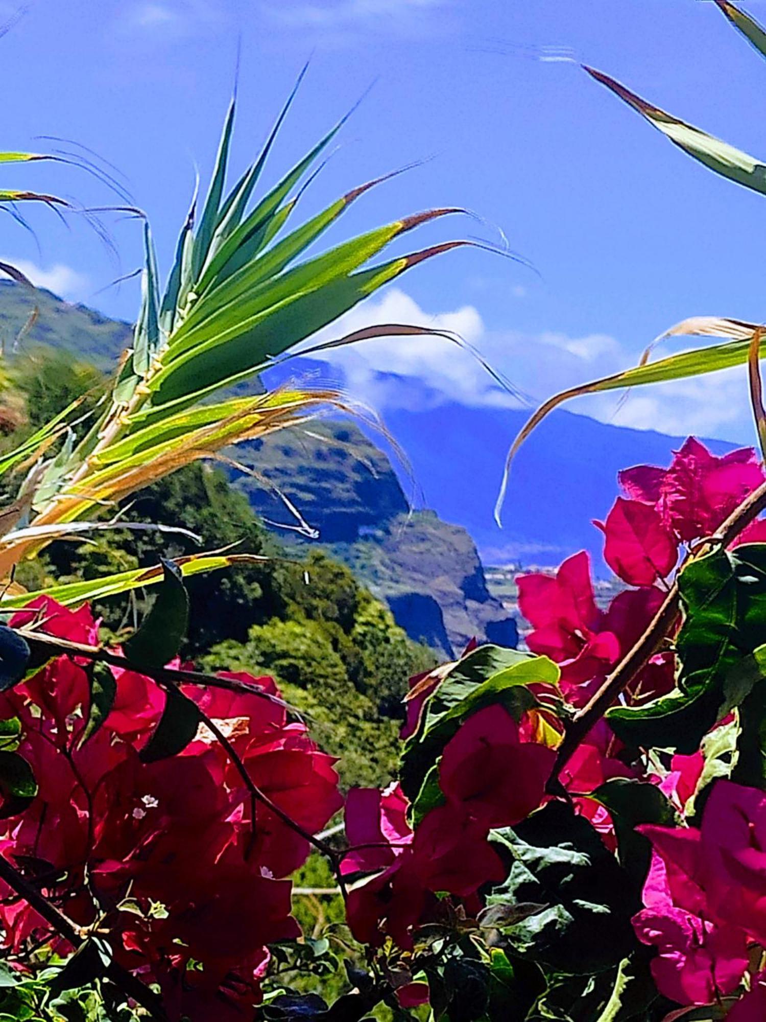 Bluegreen Arco da Calheta  Exterior photo