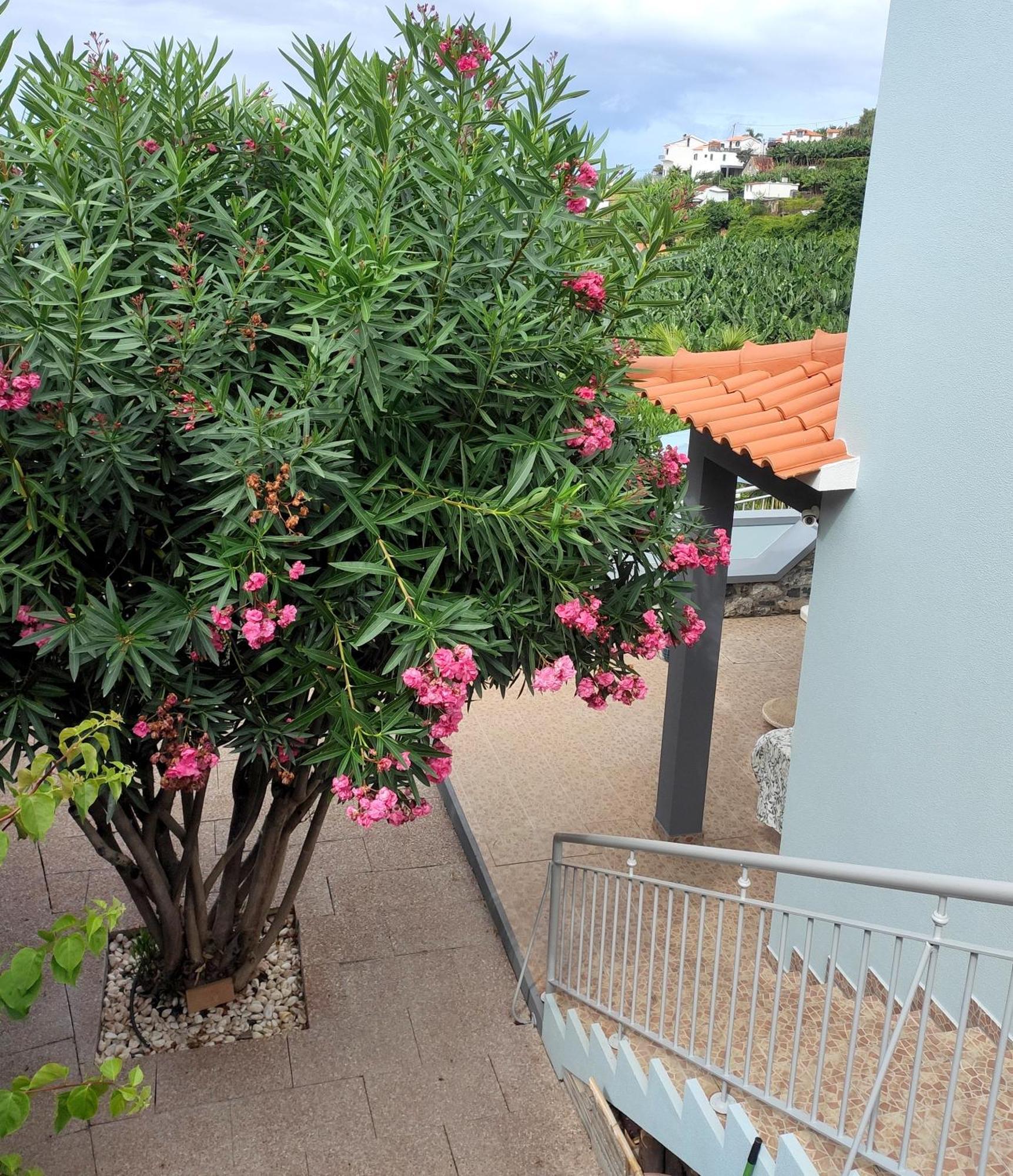 Bluegreen Arco da Calheta  Exterior photo